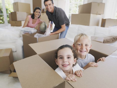 Liability and cancellation terms for a UK man and van service