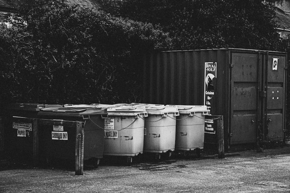 A large outdoor area near a property shows multiple stacks of flattened cardboard boxes labeled 'fresh fruits' and piled on wooden pallets, alongside metal cage containers filled with various boxes, some open, revealing packaging materials and miscellaneous household items. Several plastic trash bins in green and red are positioned in the foreground, while a collection of cardboard boxes and packaging materials are visible on a trolley and on the ground. The scene appears to be part of a home relocation or furniture transport process, with equipment such as pallets, trolleys, and packed boxes indicating loading or unloading activities associated with a professional removals service like Man With a Van Mitcham. The background includes a partially visible building and outdoor greenery, and the lighting suggests daytime with natural light illuminating the surroundings.