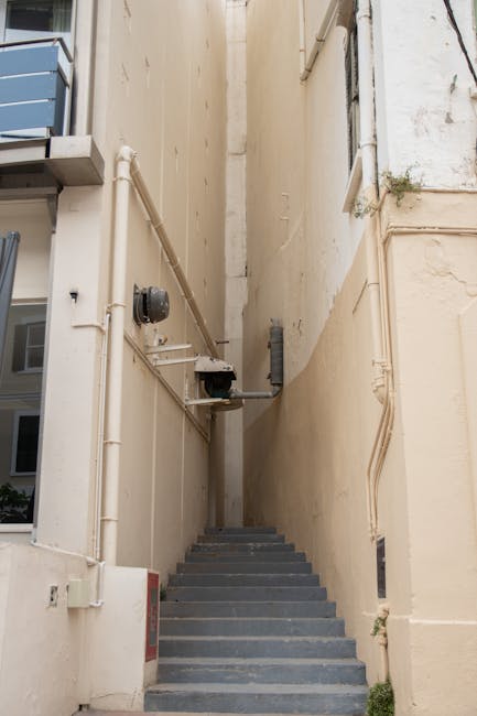 A woman with long dark hair and another person, both partially visible, are on a staircase inside a house, preparing to move a potted green plant with broad leaves. The staircase has dark carpeted ste